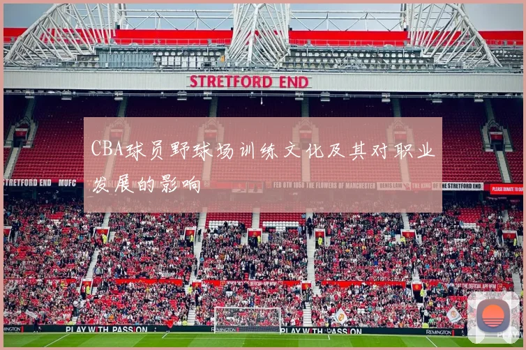 CBA球员野球场训练文化及其对职业发展的影响