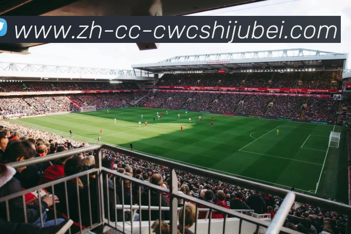 世界杯买球服务体系